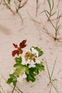 Kaboompics - Baltic Sea Backgrounds