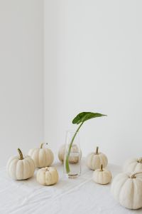 Kaboompics - White Mini Pumpkins and Green Houseplant on White Background