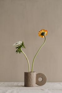 Neutral Home Decor Still Life with Ceramic Vases and White Flowers