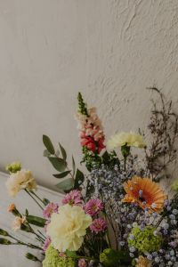 Kaboompics - Soft Pink and Cream Flowers Against a Textured Plaster Wall