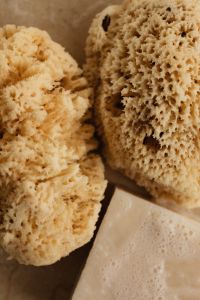 Kaboompics - Natural Sea Sponges and White Soap Bar in Close-Up