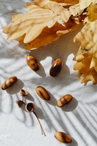 Kaboompics - Acorns and Oak Leaves on White Linen with Window Shadows