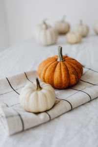 Kaboompics - Orange and White Mini Pumpkins on White Checkered Cloth