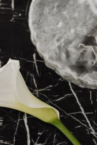 Kaboompics - White Calla Lily Petal and Green Stem on Black Marble with Blurred Stone Accent