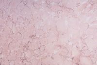 Kaboompics - Soft Pink Marble with Delicate Crackle Veins - Pastel Stone Background