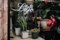 Kaboompics - Flower shop in Castelfranco Veneto, Italy