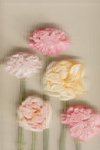 Kaboompics - Pink White and Yellow Flowers Distorted Through Ribbed Glass, Abstract Floral Wallpaper