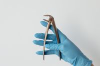 Kaboompics - Extraction Forceps Held by Gloved Dental Professional