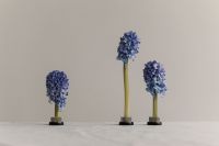 Kaboompics - Three Blue Hyacinths in Kenzan on a Neutral Linen Background