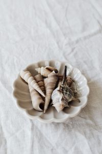 Kaboompics - Seashell Collection in a Scalloped Ceramic Dish, Soft Neutral Coastal Styling on Linen