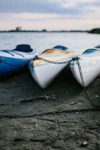 Lakefront Recreation and Nature Photography: Wooden Pier, Kayaks, Calm Water and Dog by the Shore