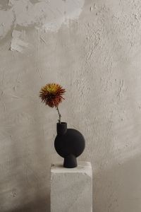 Kaboompics - Dried Flower in Black Ceramic Vase Against Textured Wall