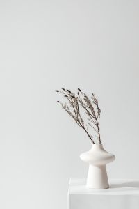 Kaboompics - Small White Vase with Dried Stems and Ample Copy Space