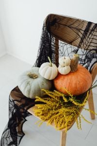 Kaboompics - Pumpkins and Yellow Flowers on Spiderweb Chair Close-Up