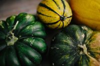 Kaboompics - Green Squash and Yellow Gourd Close Up