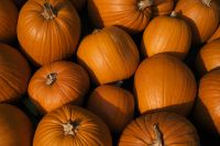 Kaboompics - Orange Pumpkins Stacked in a Shaded Display