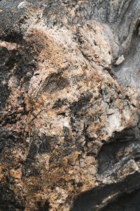 Kaboompics - Rough Cream and Charcoal Limestone with Deep Irregular Cavities, Porous Coastal Rock Close-Up