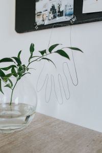 Minimal Home Decor with Green Plants, Glass Vases and Wall Art