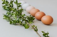 White-to-Brown Eggs Beside a Boxwood Branch, Minimal Spring Food Styling