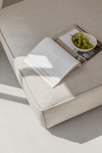 Neutral Living Room Reading Still Life with Magazine and Grapes