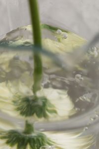 Kaboompics - Top View of a White Gerbera in Water with Bubbles