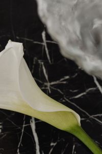 Kaboompics - Calla Lily Petal Macro with Soft-Focus Gray Marble Sphere