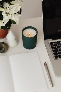Kaboompics - Minimal Holiday Desk With Small Trees and Open Notebook