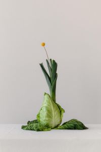 Kaboompics - Leek and Pointed Cabbage with Yellow Botanical Accent, Copy Space