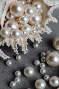 Kaboompics - Pearl-Filled Seashell Macro on Textured Gray Concrete