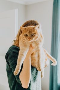 Kaboompics - Woman Holding a Ginger Cat Close in a Bright Room