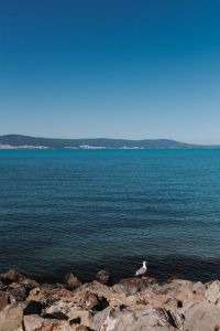 Kaboompics - Coast of the Black Sea, Sunny Beach, Bulgaria