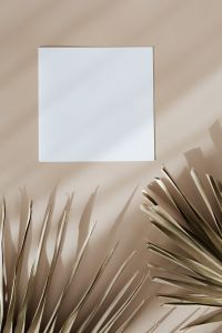 Kaboompics - Blank Square Card with Dried Palm Fronds and Neutral Background