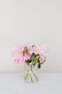 Kaboompics - Pale Pink Peony Bouquet in Glass Vase with Negative Space