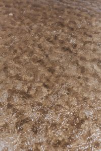 Kaboompics - Wide Shoreline with Calm Water over Pebbled Sand