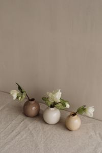 Kaboompics - Three Neutral Ceramic Vases with White Blooms and Ample Copy Space