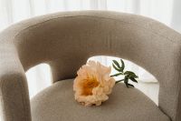 Kaboompics - Single Cream Flower on Textured Armchair with Soft Light