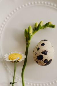 Kaboompics - Easter Delights - Spring Flowers and Minimalist Tableware