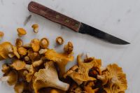 Kaboompics - Chanterelle Mushrooms And Knife On White Marble