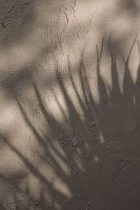 Kaboompics - Whispers of Beige - Captivating Shadow Backgrounds and Wallpapers in Warm Hues