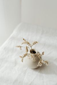 Kaboompics - Tiny White Dried Flowers in a Ceramic Vase for Minimalist Backgrounds