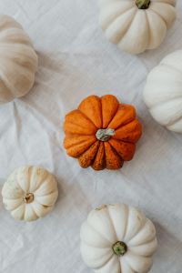 Kaboompics - Orange and White Mini Pumpkins on White Linen