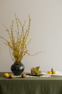 Kaboompics - Yellow Blossom Branches with Grapes, Pears and Citrus on Green Linen
