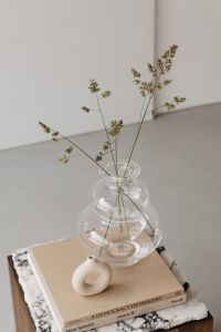 Kaboompics - Glass Bubble Vase with Dried Stems and Minimalist Neutral Background