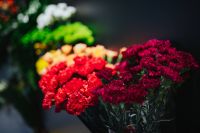 Kaboompics - Collection of colourful flower bouquets