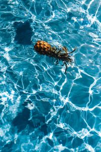 Kaboompics - Baby Pineapple in a swimming pool