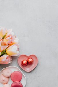 Kaboompics - Tulips, Heart Chocolates, and Macarons With Side Copy Space
