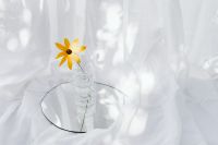 Kaboompics - Single Yellow Bloom in Glass Vase Above a Mirror