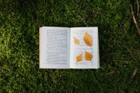 Kaboompics - Overhead Open Book with Pressed Autumn Leaves on Moss, Nature Reading Flat Lay