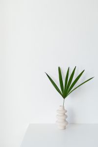 Kaboompics - Vertical Palm Leaf and White Vase with Generous Copy Space