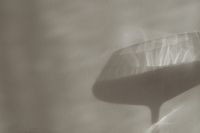 Kaboompics - Abstract Wine Glass Shadow on a Warm Textured Neutral Wall